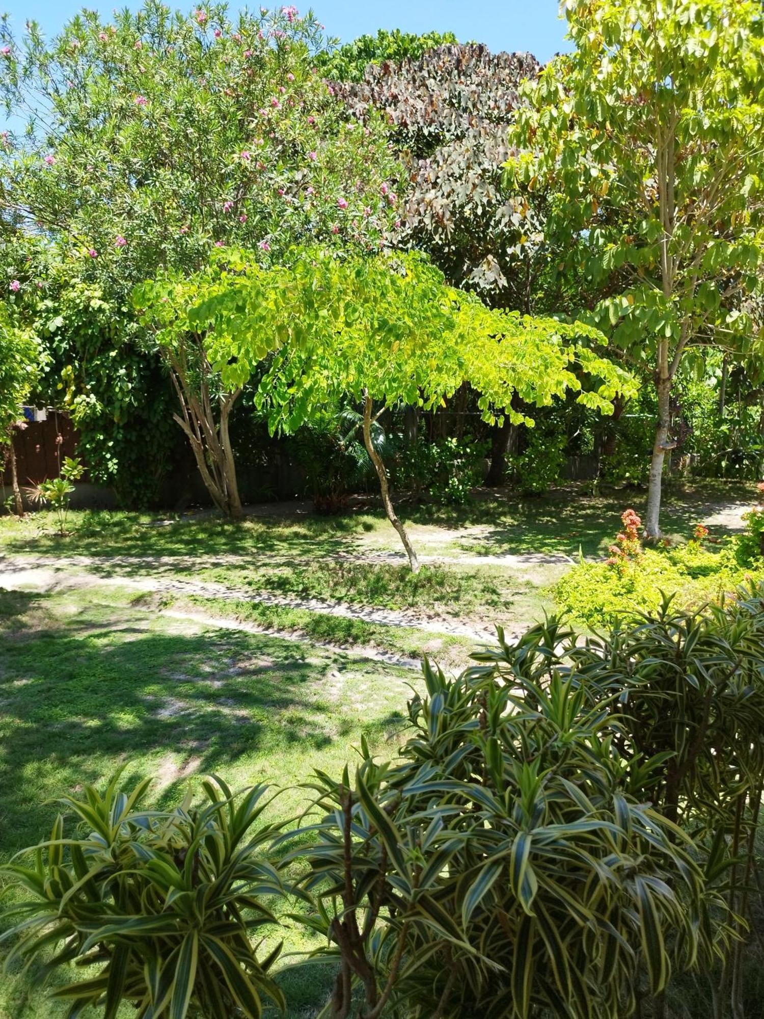 Celtis Resort Insula Malapascua Exterior foto