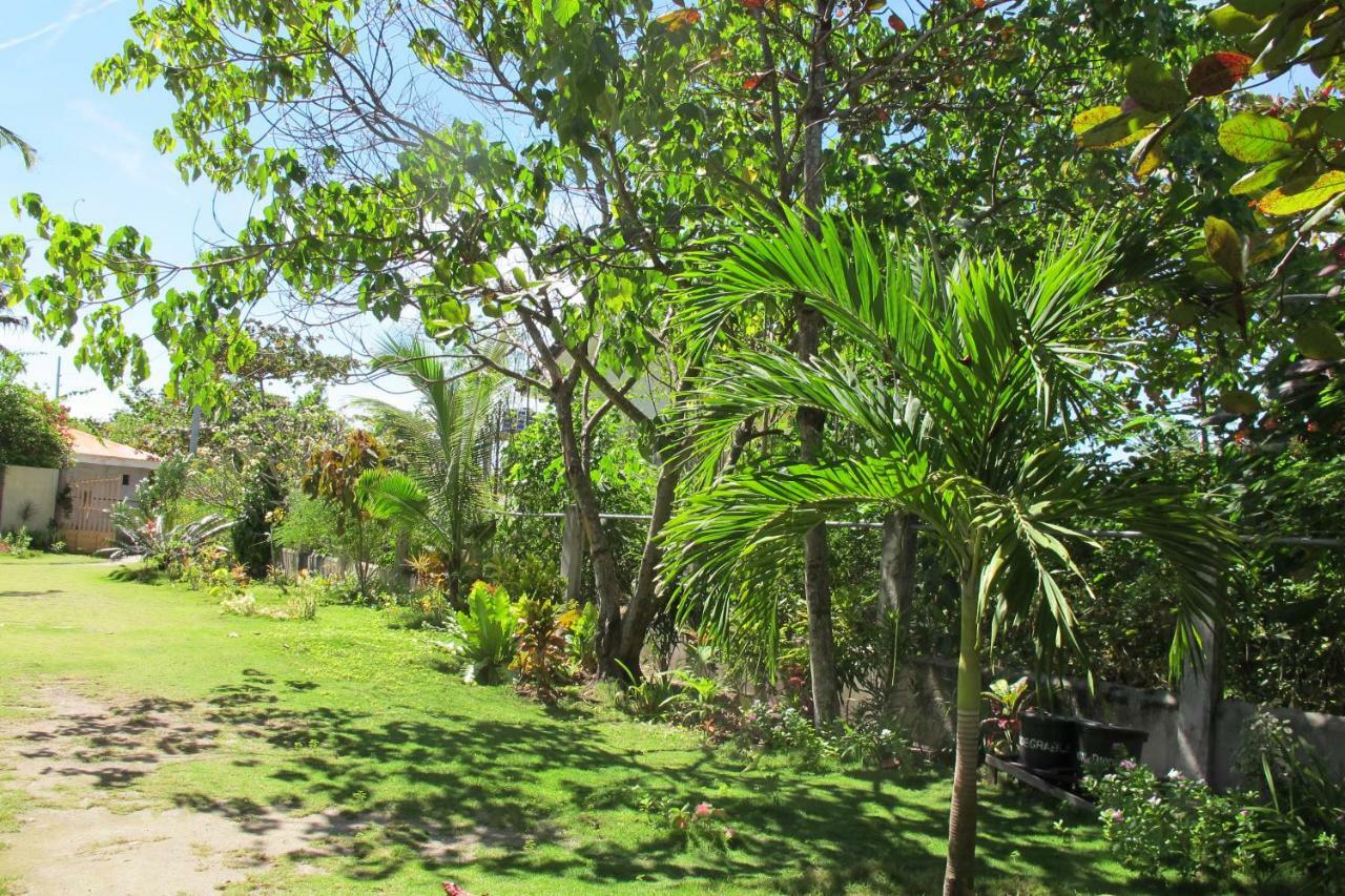Celtis Resort Insula Malapascua Exterior foto